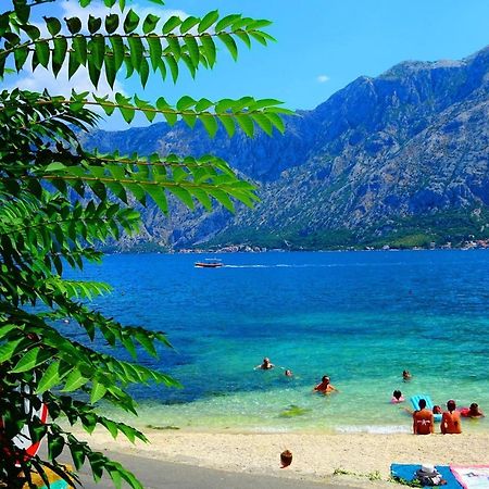 Bay Of Kotor View Apartment With Pool Prčanj Eksteriør bilde