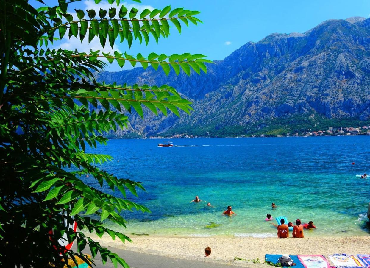 Bay Of Kotor View Apartment With Pool Prčanj Eksteriør bilde